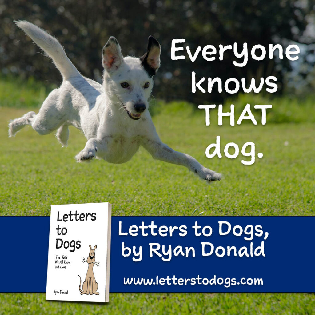 Everyone knows THAT dog. Letters to Dogs by Ryan Donald