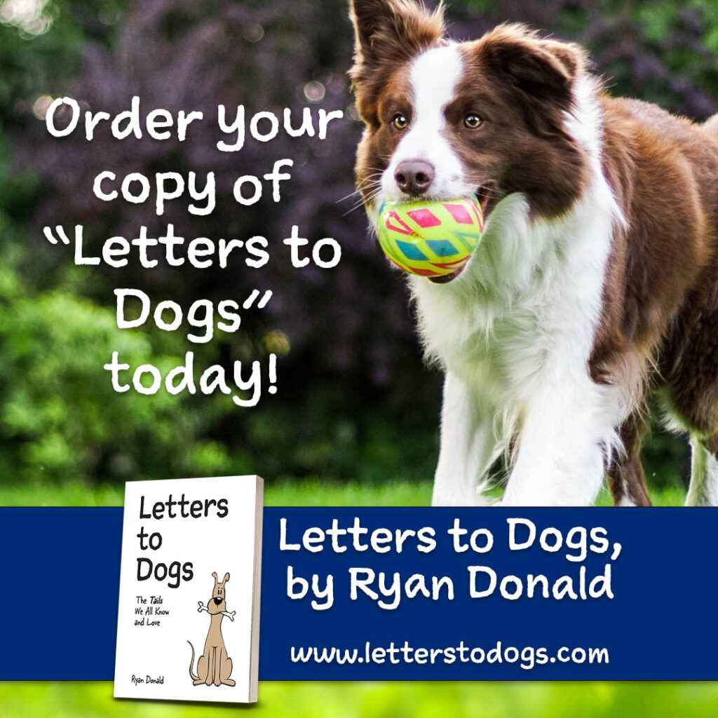 Order your copy of Letters to Dogs today! 