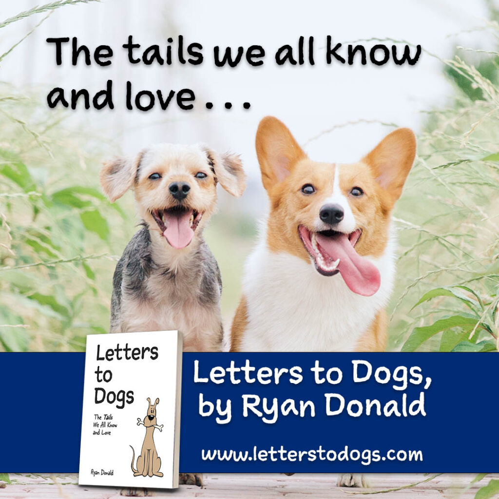 The tails we all know and love... Letters to Dogs by Ryan Donald